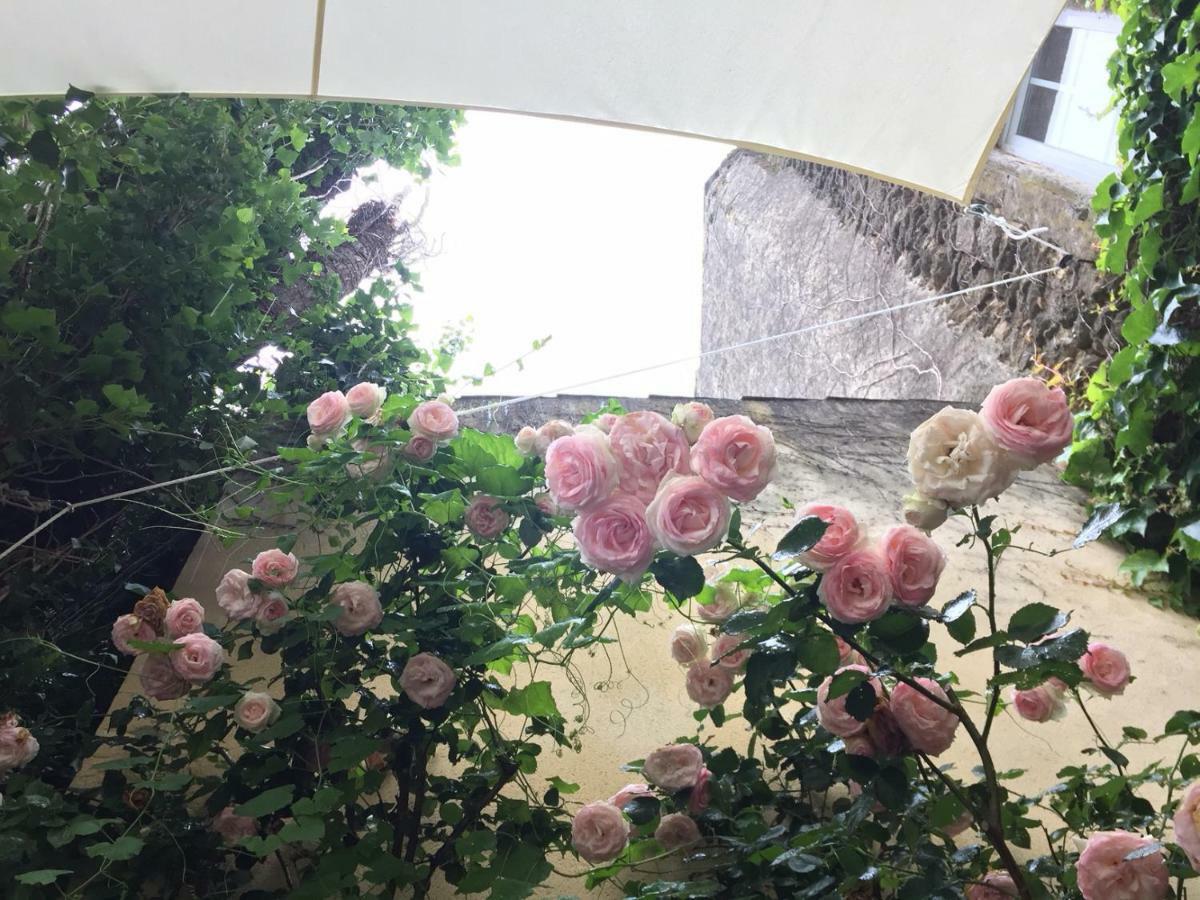 Les Aiguieres En Provence Suze-la-Rousse Exterior foto